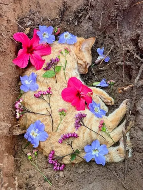  Farewell Rооted in Βeauty and Grace